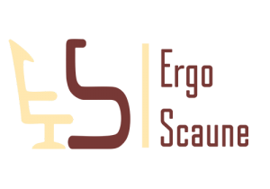 Ergo Scaune