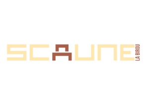 7scaune